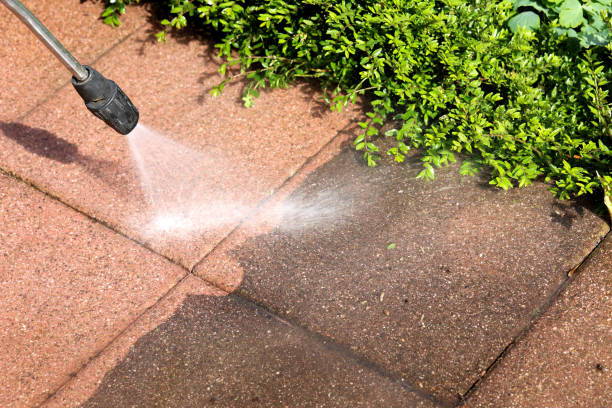 Best Best Pressure Washing Companies  in North Lakeville, MA